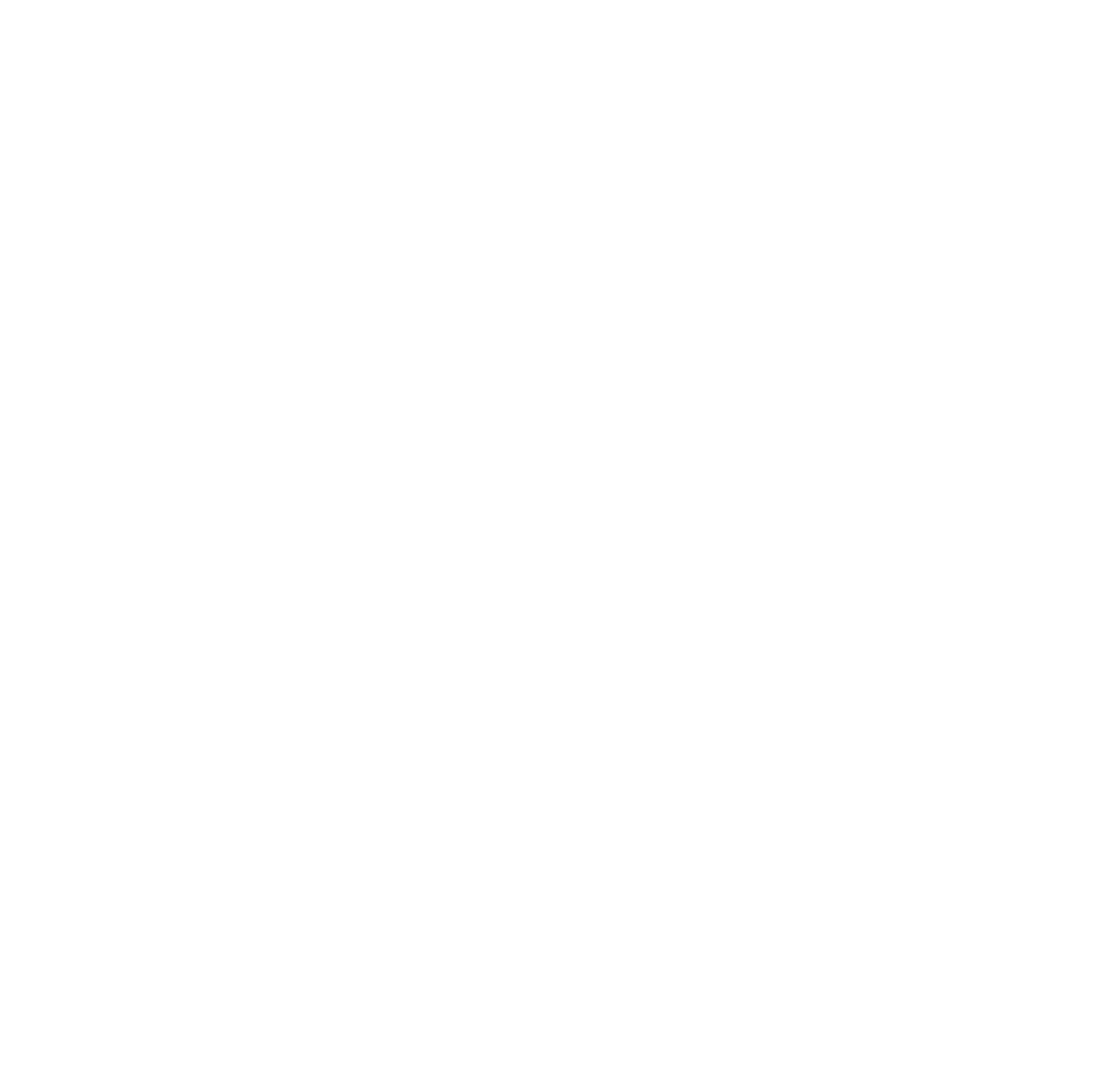Enfusion
